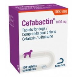 CEFABACTIN 1000 MG 10...