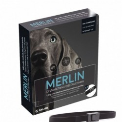 MERLIN 2 COLLARES...