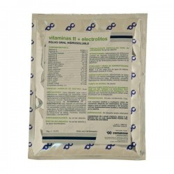 VITAMINAS TT ELECTROLITOS 1 KG