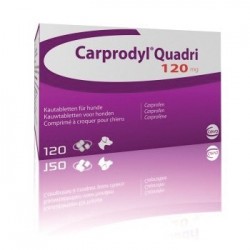 CARPRODYL QUADRI 120 MG 120...