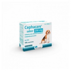 CEPHACARE 250 MG 100 COMP