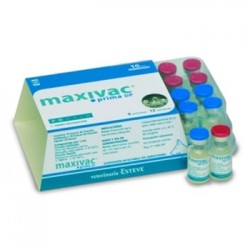 MAXIVAC PRIMA DP 10 DOSIS