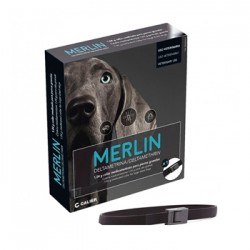 MERLIN 1 COLLAR...