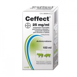 Ceffect 100 Ml