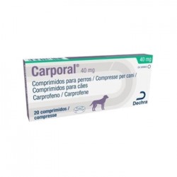 CARPORAL 40 MG 20 COMP