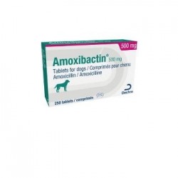 AMOXIBACTIN 500 MG 10 COMP