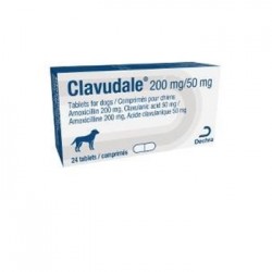 CLAVUDALE 200 MG 50 MG 24 COMP