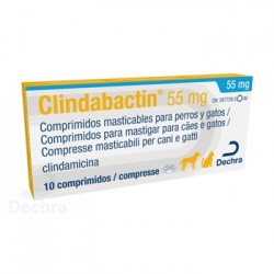 CLINDABACTIN 55 MG 10 COMP