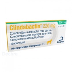 CLINDABACTIN 220 MG 10 COMP