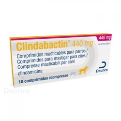 CLINDABACTIN 440 MG 10 COMP