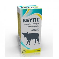 KEYTIL INY. 250 ML