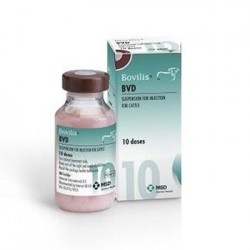 BOVILIS BVD 20 ML 10 DOSIS