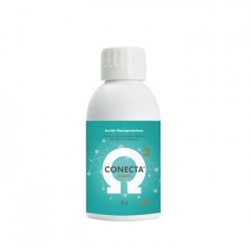 CONECTA 03ABD 135 ML