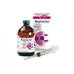 REPROCINE 50ML