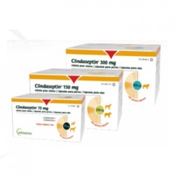 CLINDASEPTIN 150 MG 100...