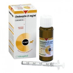 CLINDASEPTIN 25 MG 22 ML