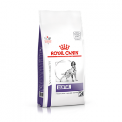 ROYAL CANIN DENTAL PERRO