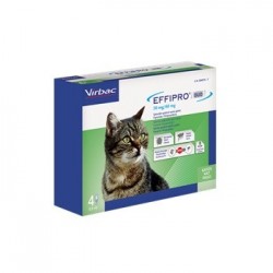 EFFIPRO DUO GATOS 4 PIP