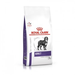 ROYAL CANIN ADULT LARGE DOG