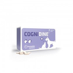 COGNIDINE 60 comprimidos