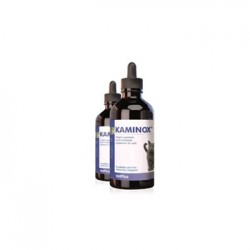 NEW KAMINOX 120 ML