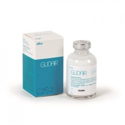 GUDAIR 30 ML