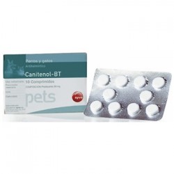 CANITENOL-BT 500 COMPRIMIDOS