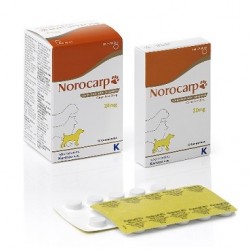 NOROCARP 20 mg 20 Comprimidos