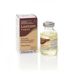 LOXICOM 5 MG INY. 20 ML