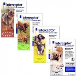 INTERCEPTOR SABOR 11,5 mg 6...