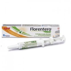 FLORENTERO ACT PASTA 15ML