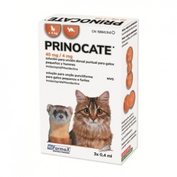 Prinocate Gato Grande 3...