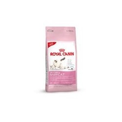 ROYAL CANIN MOTHER BABYCAT...