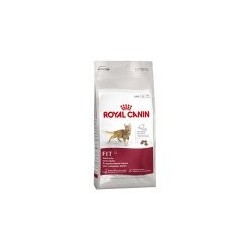 ROYAL CANIN FIT 32 GATO 400GR