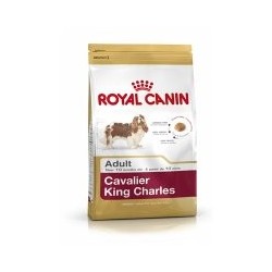 ROYAL CANIN CAVALIER KING...