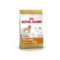 ROYAL CANIN CANICHE 1.5KG