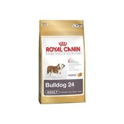 ROYAL CANIN BULLDOG 24...