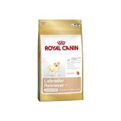 ROYAL CANIN LABRADOR...