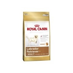 ROYAL CANIN LABRADOR...