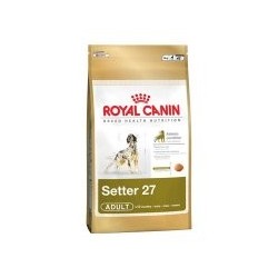 ROYAL CANIN SETTER 27 PERRO...